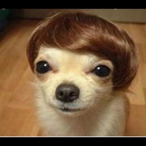 Meet your Posher, Edward